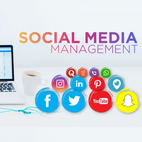 Social Media Management Training